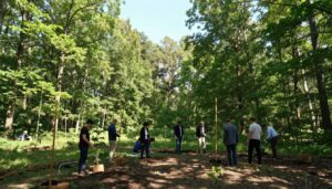Waldflächen für langfristige Pachtverträge vorbereiten