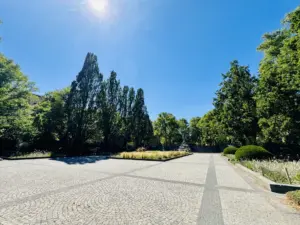 Top-Ladeneinheit in 1A-Lage am Rüdesheimer Platz zu vermieten! – Foto 3