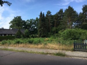 Grundstück zur ERBPACHT 99 Jahre Pachtdauer - 29556 Suderburg Modulhaus/CUBE – Foto 2