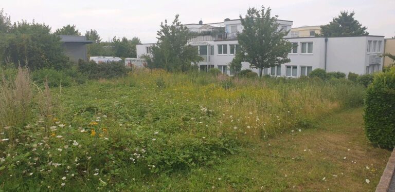Gewerbegrundstück zu Verpachten / Langzeit Miete / Wachtberg