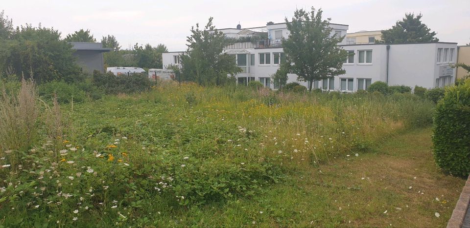 Gewerbegrundstück zu Verpachten / Langzeit Miete / Wachtberg