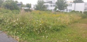 Gewerbegrundstück zu Verpachten / Langzeit Miete / Wachtberg – Foto 2