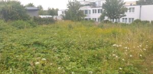 Gewerbegrundstück zu Verpachten / Langzeit Miete / Wachtberg – Foto 3