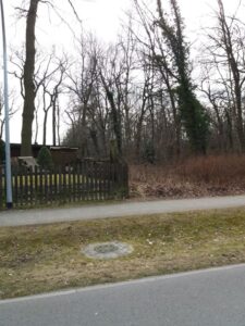 zu verpachten kleines Waldgrundstück in Falkensee – Foto 2