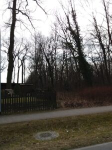 zu verpachten kleines Waldgrundstück in Falkensee – Foto 3