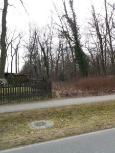 zu verpachten kleines Waldgrundstück in Falkensee – Foto 4