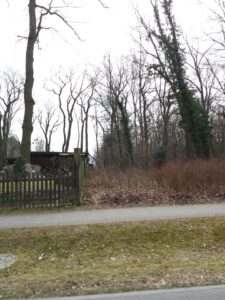 zu verpachten kleines Waldgrundstück in Falkensee – Foto 5