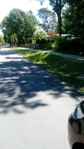 Waldgrundstück zu verpachten