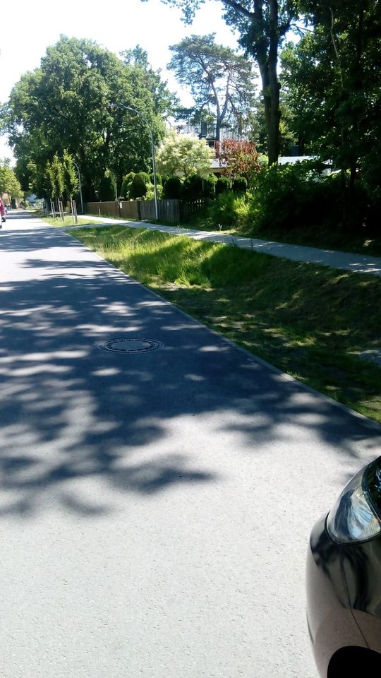 Waldgrundstück zu verpachten