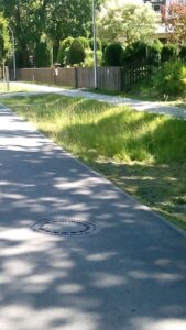 Waldgrundstück zu verpachten – Foto 2