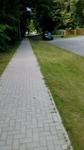 Waldgrundstück zu verpachten – Foto 4