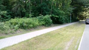 Waldgrundstück zu verpachten – Foto 5