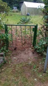 Freizeitgarten mit 326m² zu verpachten - Amselsteg, Dresden – Foto 2