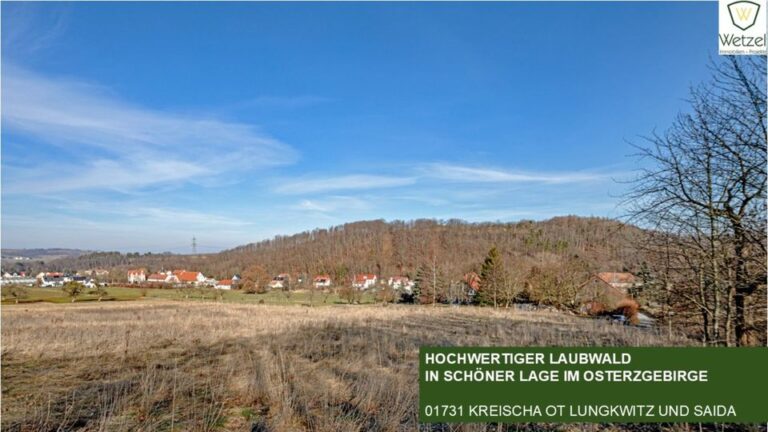 Hochwertiger Laubwald am Rand von Kreischa + pachtfrei + sofort verfügbar + + + +