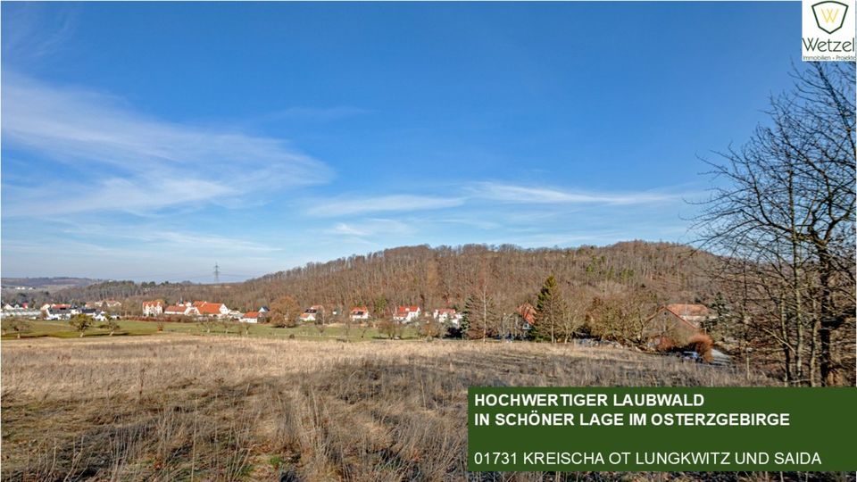 Hochwertiger Laubwald am Rand von Kreischa + pachtfrei + sofort verfügbar + + + +