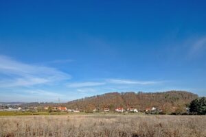 Hochwertiger Laubwald am Rand von Kreischa + pachtfrei + sofort verfügbar + + + + – Foto 2