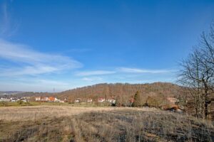 Hochwertiger Laubwald am Rand von Kreischa + pachtfrei + sofort verfügbar + + + + – Foto 3