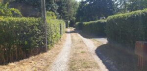 Garten a Pachtland mit Laube - 120m bis z Wasser/See - Internet – Foto 2