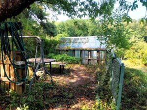 Garten 500m2 mit massiver Laube, teilunterkellert (Pachtland) – Foto 5