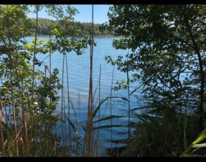 Schönes Grundstück in Seenähe – Foto 4
