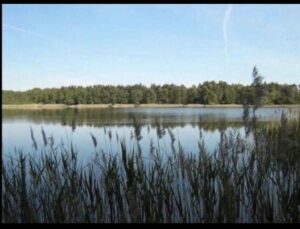 Schönes Grundstück in Seenähe – Foto 5