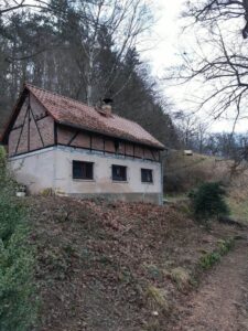 Gartengrundstück 5011 m² | Grundstück | Kahla | mit Gartenhaus | Eigentum | kein Pachtland | Strom Wasser