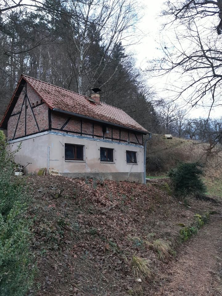 Gartengrundstück 5011 m² | Grundstück | Kahla | mit Gartenhaus | Eigentum | kein Pachtland | Strom Wasser