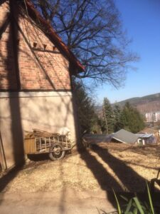 Gartengrundstück 5011 m² | Grundstück | Kahla | mit Gartenhaus | Eigentum | kein Pachtland | Strom Wasser – Foto 5