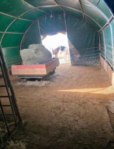 Offenstall - Stallgemeinschaft oder Komplettpacht möglich! – Foto 2