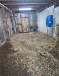 Offenstall - Stallgemeinschaft oder Komplettpacht möglich! – Foto 3