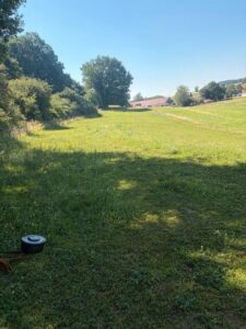 Offenstall - Stallgemeinschaft oder Komplettpacht möglich! – Foto 4