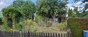 Pachtgarten in Erfurt – Foto 2