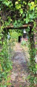 Pachtgarten in Erfurt – Foto 4