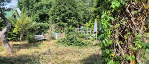 Pachtgarten in Erfurt – Foto 5