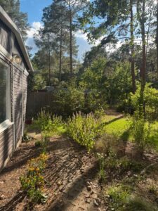 Pachtgarten Gartengrundstück Bungalow 45min vom Alex – Foto 3