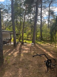 Pachtgarten Gartengrundstück Bungalow 45min vom Alex – Foto 5