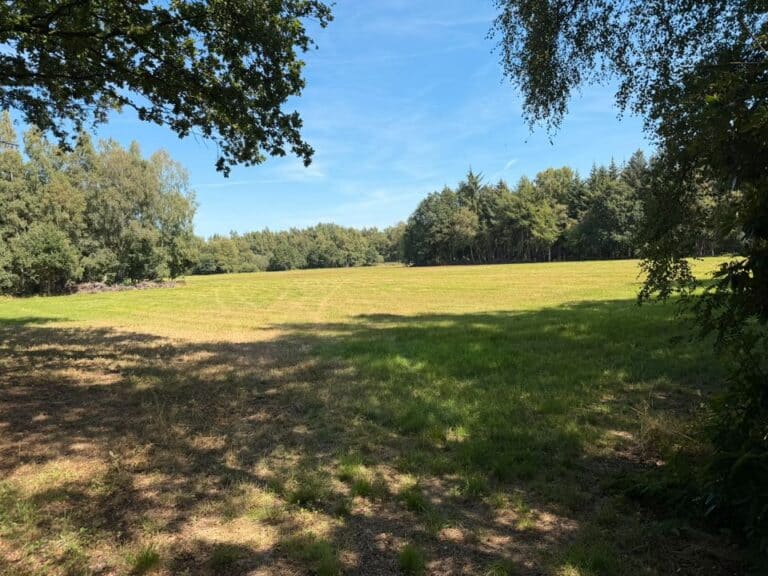 Verpachtung! Ca. 3 ha Grünland in Jeddeloh I, Gemeinde Edewecht/ LK Ammerland