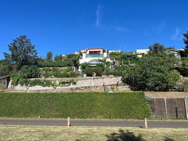 Weinberg/ Gartengrundstück in Alsleben zu verpachten - Pächter gesucht