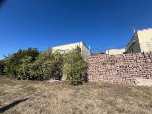 Weinberg/ Gartengrundstück in Alsleben zu verpachten - Pächter gesucht – Foto 5