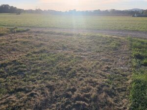 Freizeitgrundstück zu verpachten – Foto 2