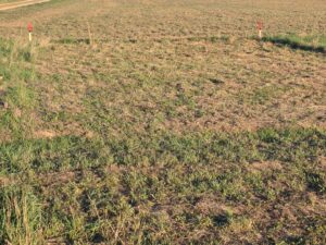Freizeitgrundstück zu verpachten – Foto 3