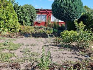 Pachtgarten in 06184 Zwintschöna abzugeben – Foto 4