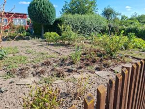 Pachtgarten in 06184 Zwintschöna abzugeben – Foto 5