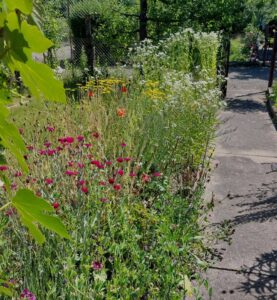 Familienparadies im Grünen – Foto 4
