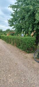 Pachtgarten In KGV Freundschaft am Galgenberg – Foto 4