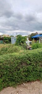 Pachtgarten In KGV Freundschaft am Galgenberg – Foto 5