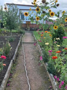 Garten zu vergeben – Foto 2