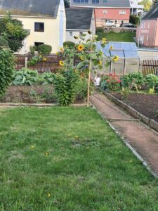 Garten zu vergeben – Foto 3