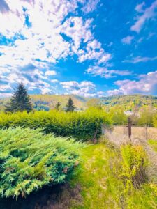 Gartengrundstück Wochenendhaus Ferienhaus Freizeitgrundstück – Foto 3