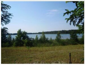 Wassergrundstück mit Scheune zur Pacht 11 064qm in Schwarzheide – Foto 2